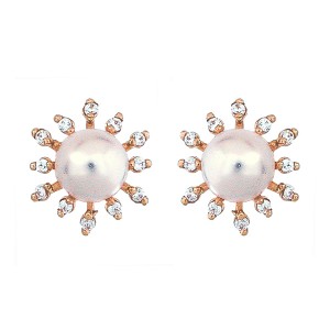 ǰ̹